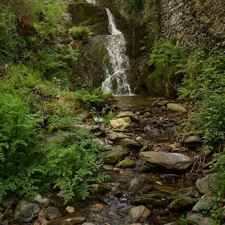 Casa Do Loureiro Dağ evi Arganil