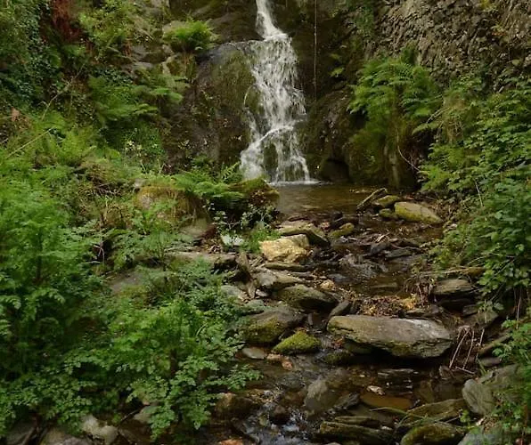 Casa Do Loureiro Chalet Arganil